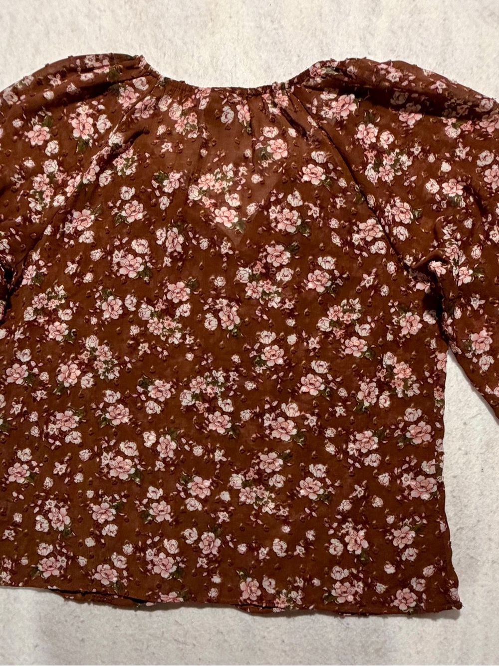 Oak & Trellis Floral Swiss Dot Crochet Trim Blouse Brown Pink XL EUC